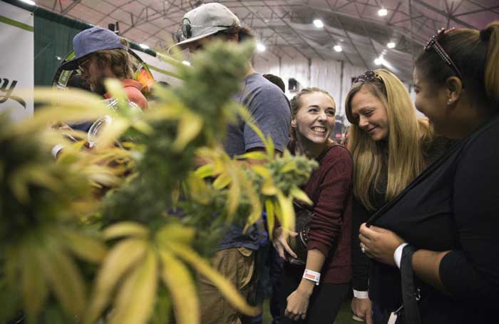 Cannabis Convention in Maine - Ben McCanna