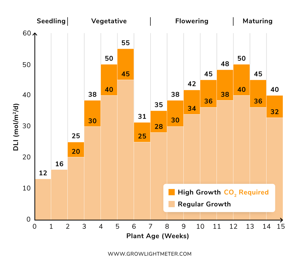 cannabis-dli-cycle-3.png