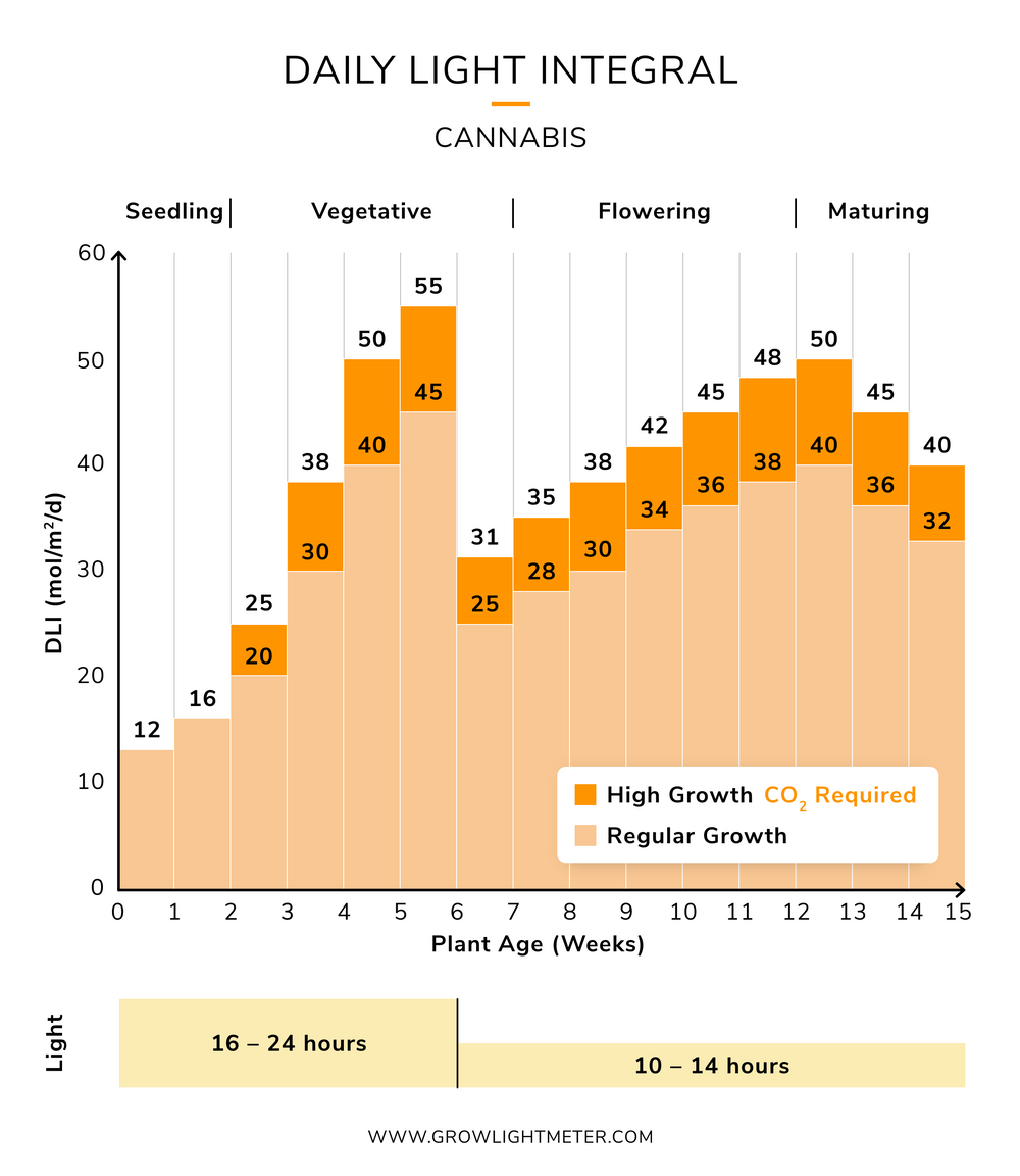 cannabis-dli-cycle-3.png