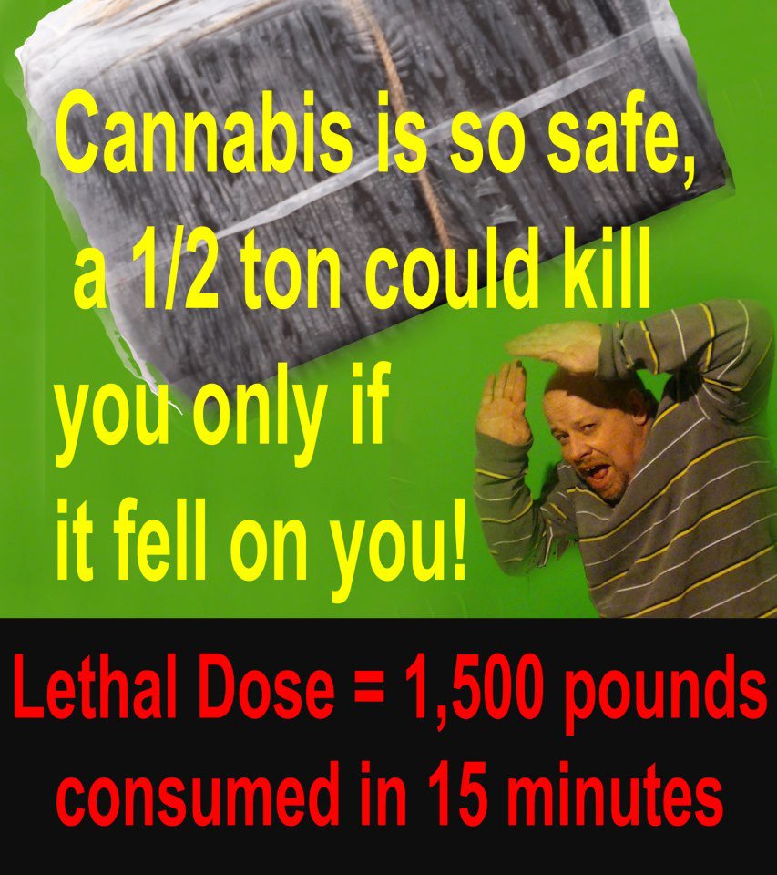 Cannabis Facts