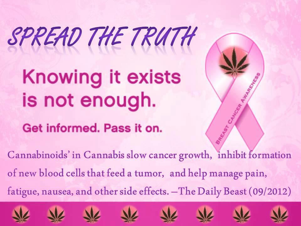 Cannabis Facts