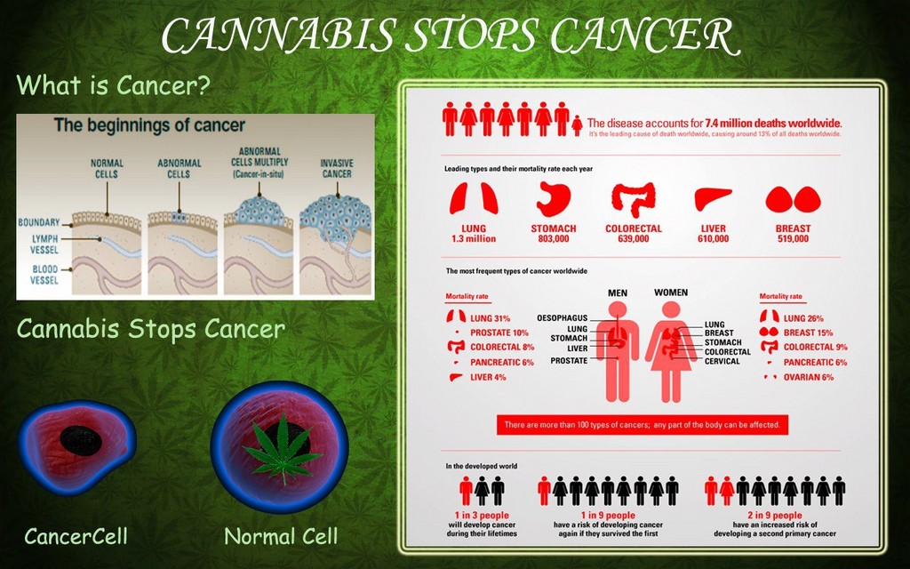 Cannabis Facts