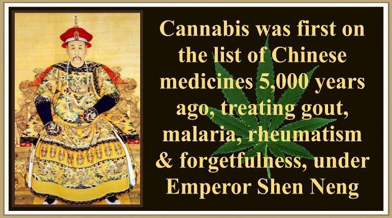 Cannabis Facts