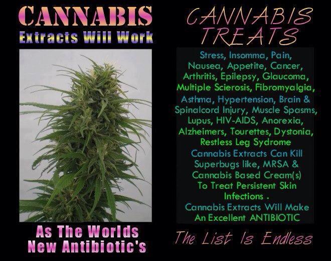 Cannabis Facts