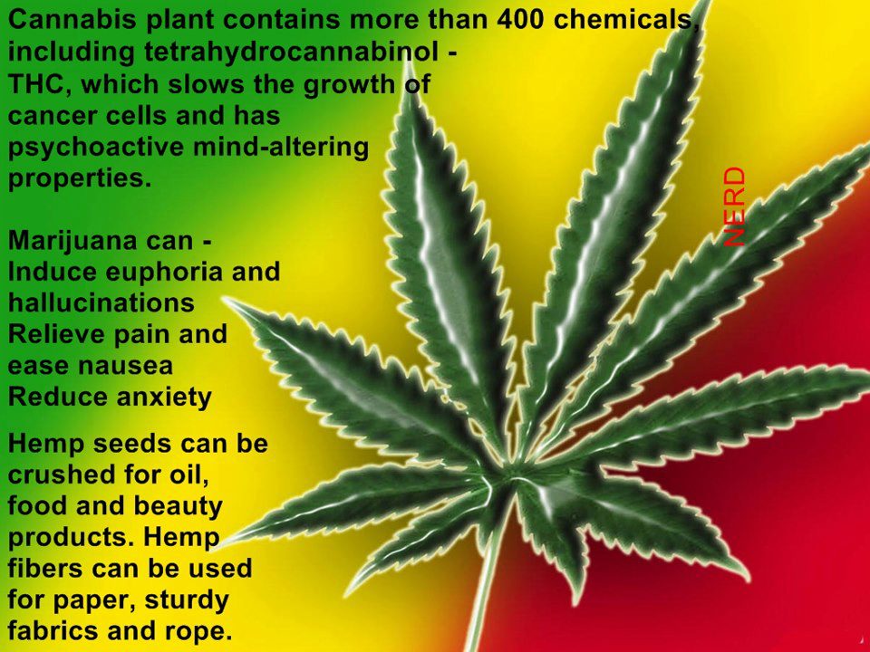 Cannabis Facts