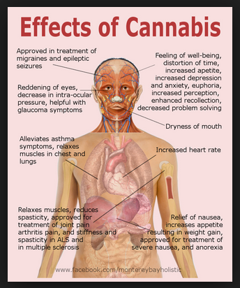 Cannabis Facts