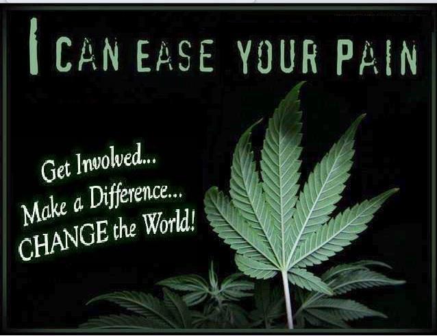 Cannabis Facts