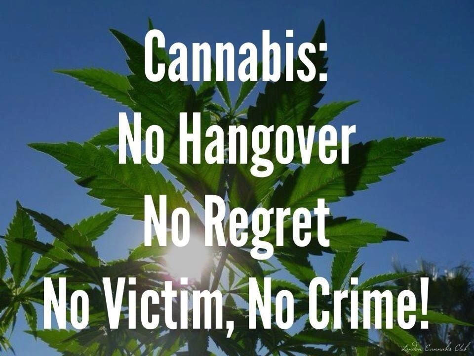 Cannabis Facts