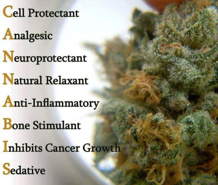 Cannabis Facts