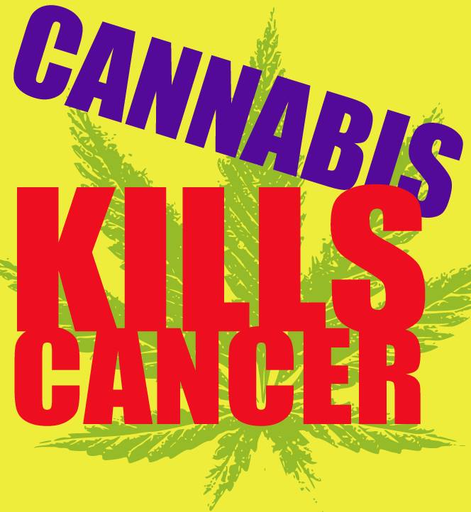 Cannabis Facts