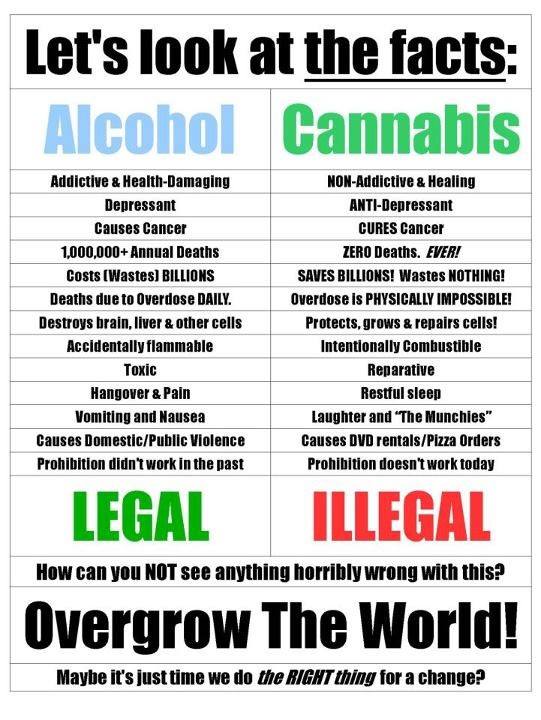 Cannabis Facts