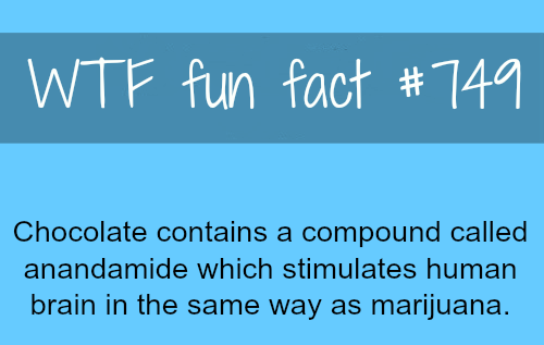 Cannabis Facts