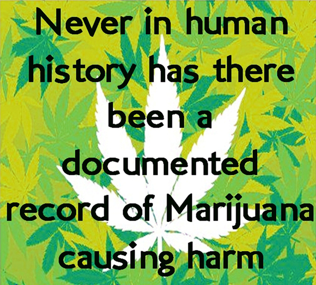 Cannabis Facts