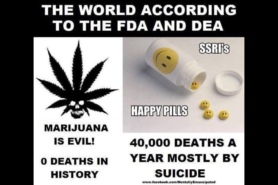 Cannabis Facts