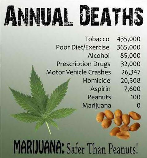 Cannabis Facts