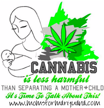 Cannabis Is Less Harmful