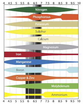 cannabis-nutrient-ph-range.jpg