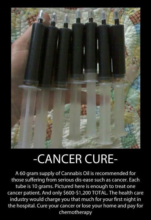 Cannabis Oil Cancer Cure