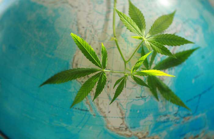 Cannabis over the World - Getty Images