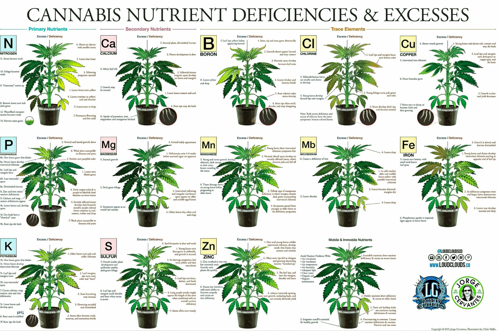 Cannabis_deficiencies.jpg