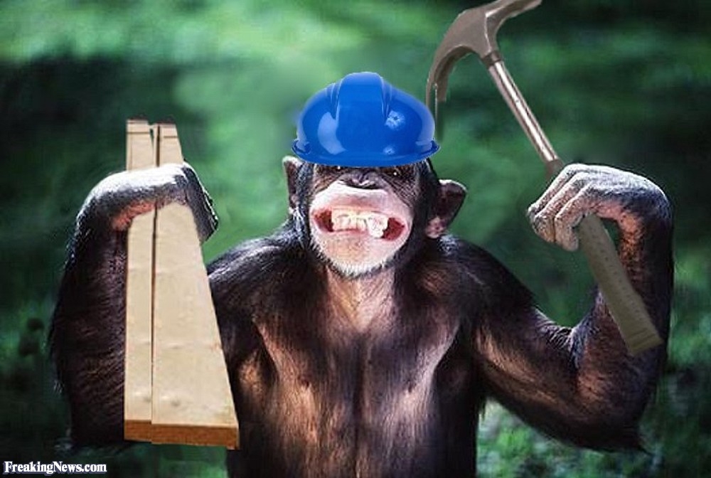 carpenter-chimp-8251.jpg