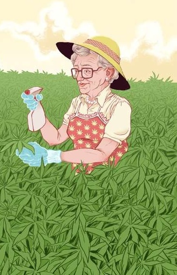 Cartoon Grandma Farmer