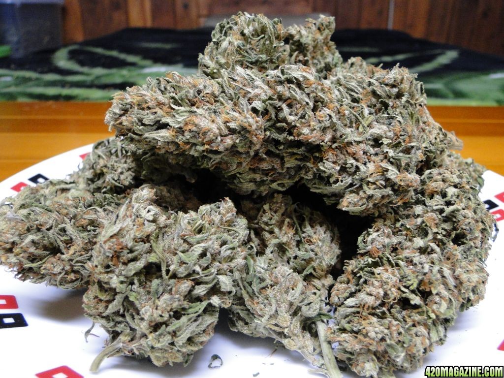 Casey_Jones_Buds