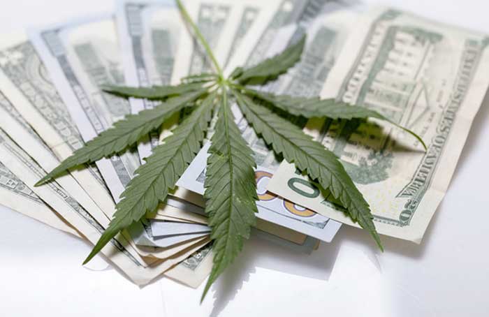 Cash and Leaf - law_com