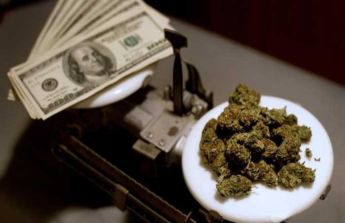 Cash Money &amp; Marijuana - Bloomberg