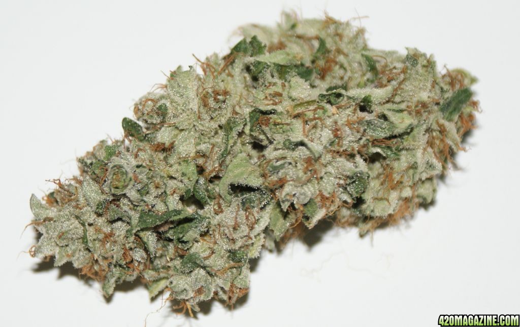 cataract_kush_005