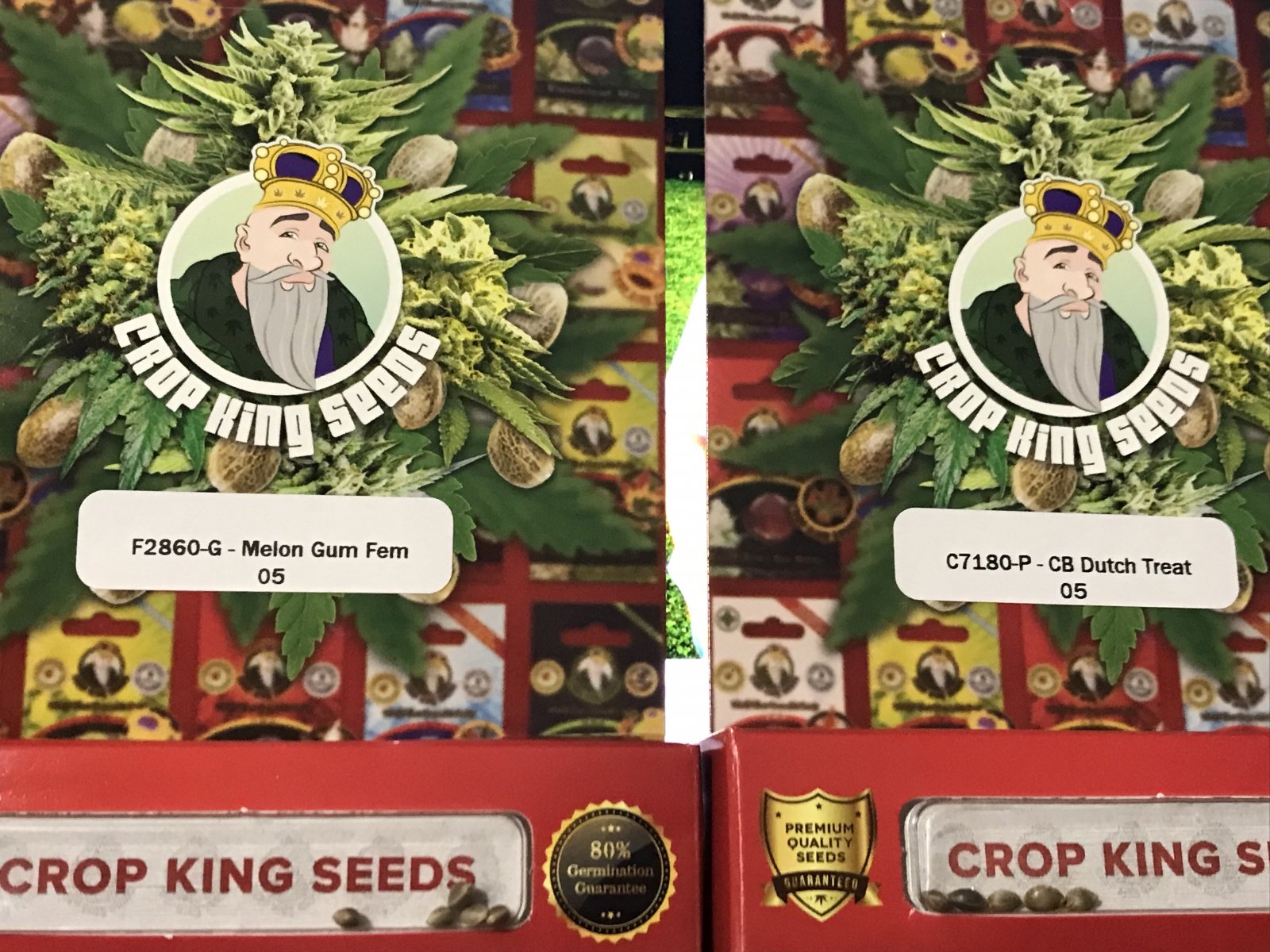 CB DT & MG Seeds.jpg