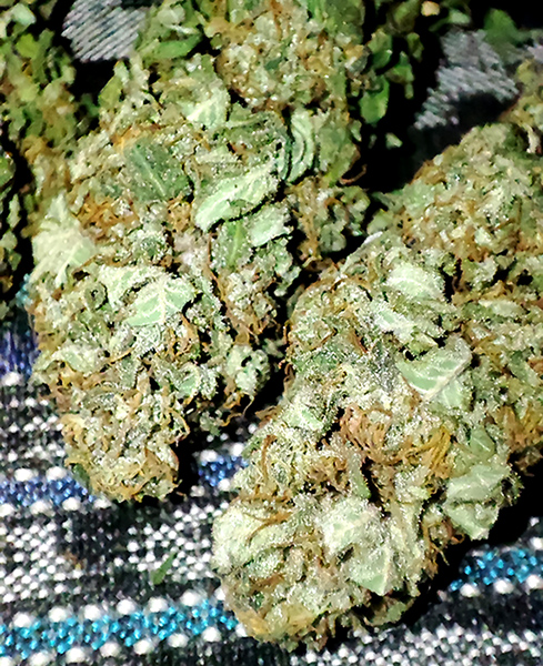 cbd#9_buds1.jpg