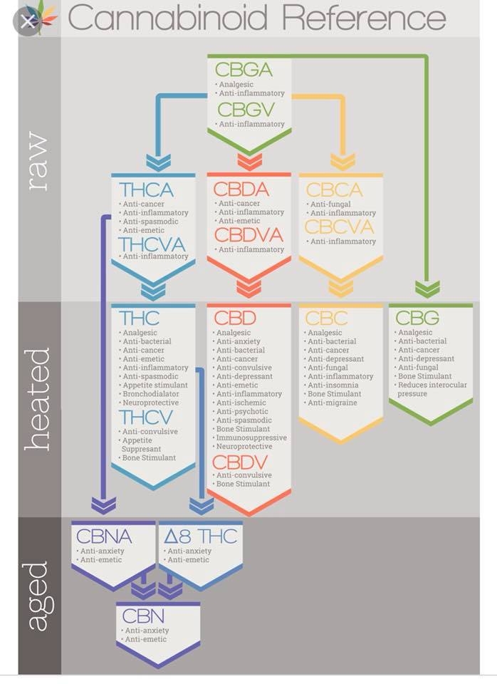 CBD chart.jpg