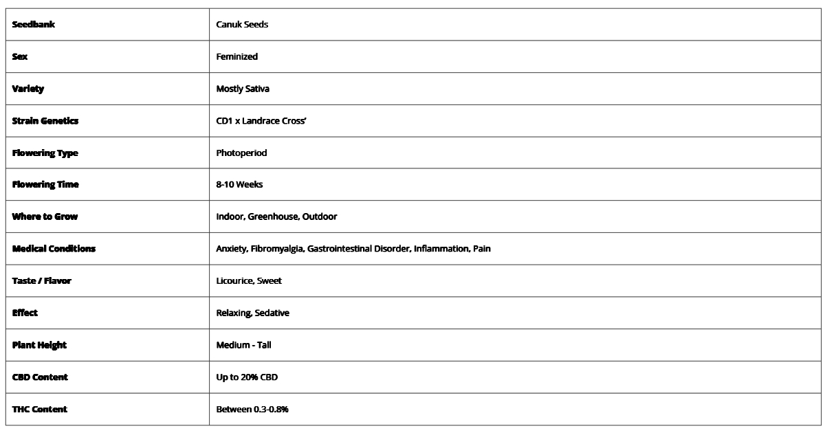 CBD Info.jpg