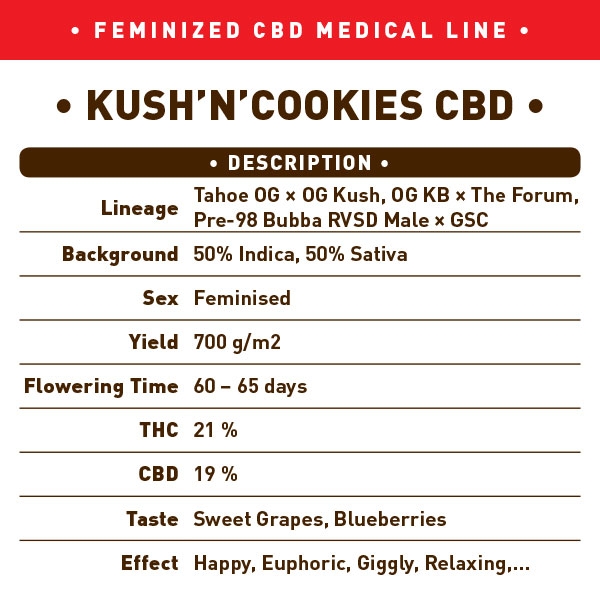 CBD-KushNCookies-CBD-back.jpg