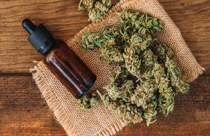 CBD Oil and Buds - Getty Images