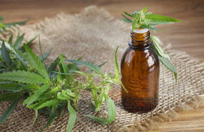 CBD Oil - Shutterstock