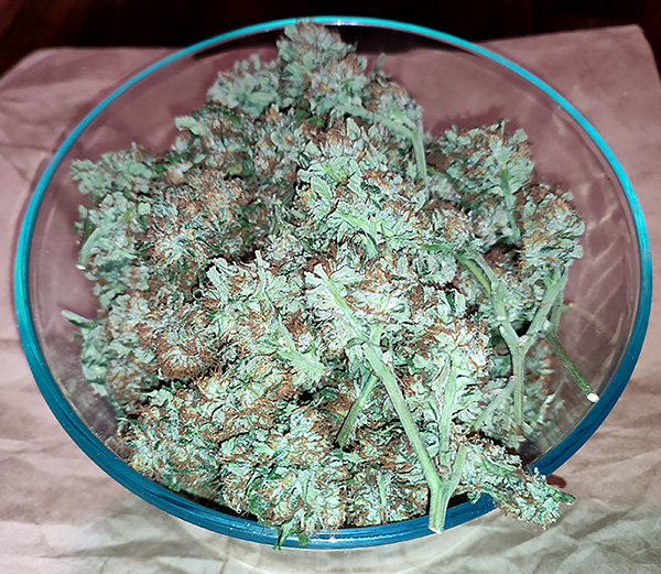 CBG_bowl_of_buds1.jpg