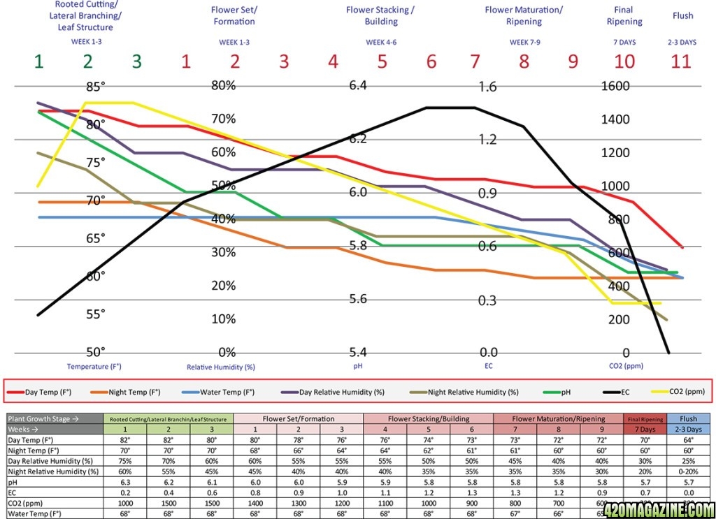 CCH2O-Recommendations-Graph-1024x743.jpg