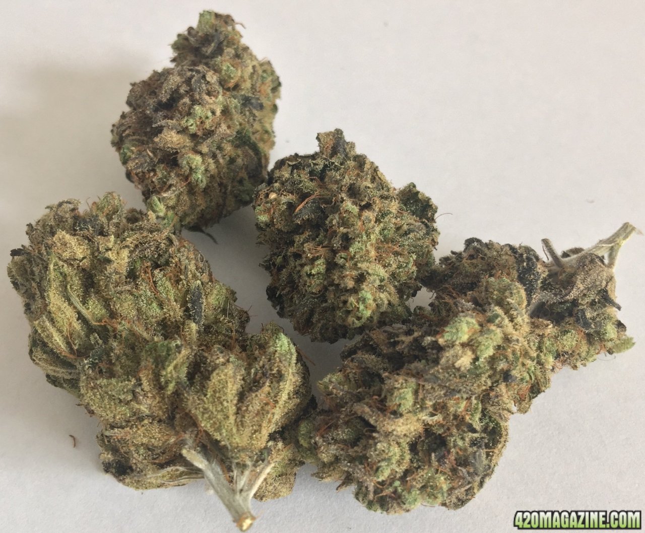 CD-1 Candida High CBD Dried Flower 3