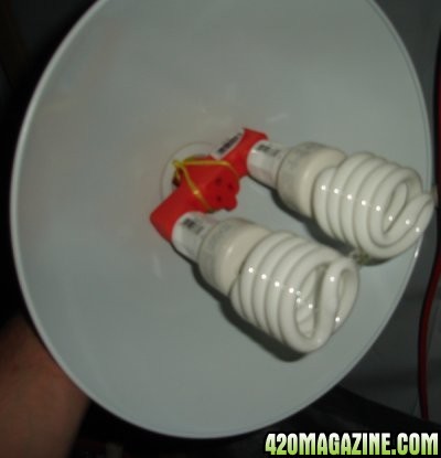 cfls