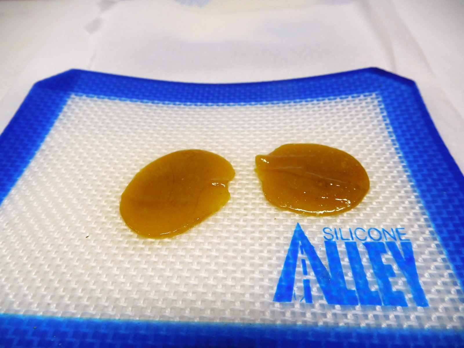 CG Rosin 1st run (4).JPG