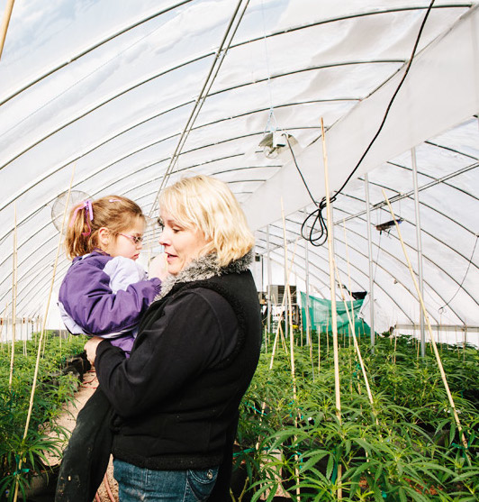 Charlotte's Web Garden