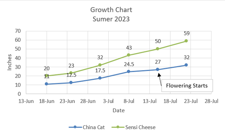 Chart 01.jpg