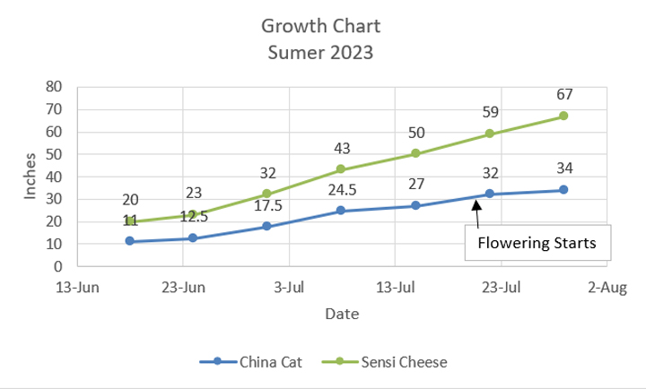 Chart 02.jpg