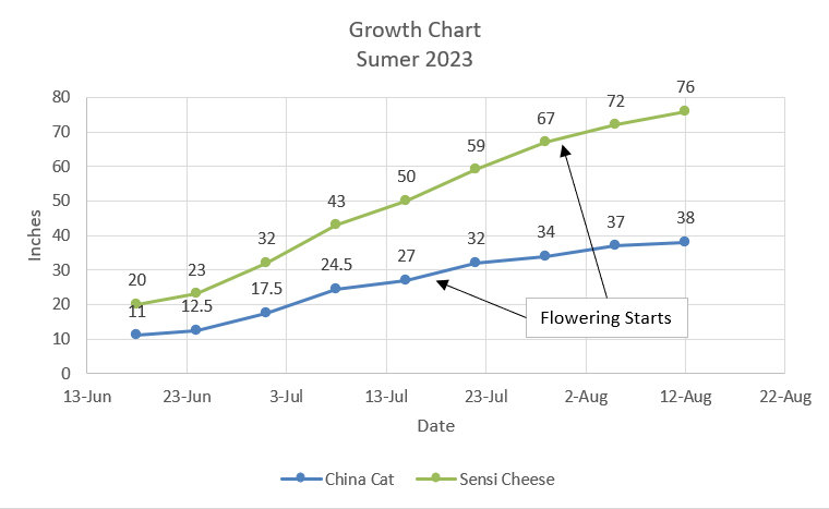 Chart 03.jpg