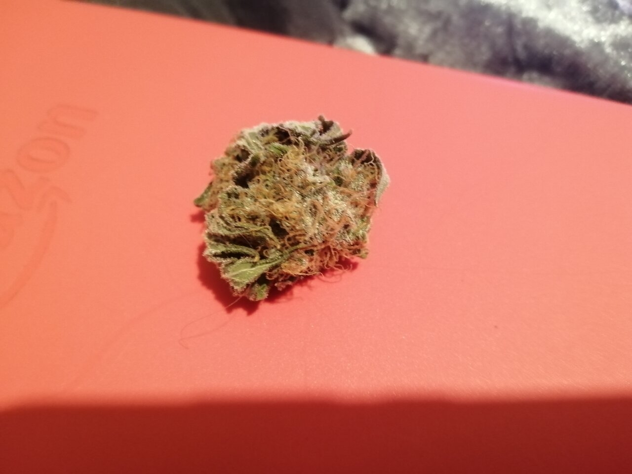 Cheese Bud