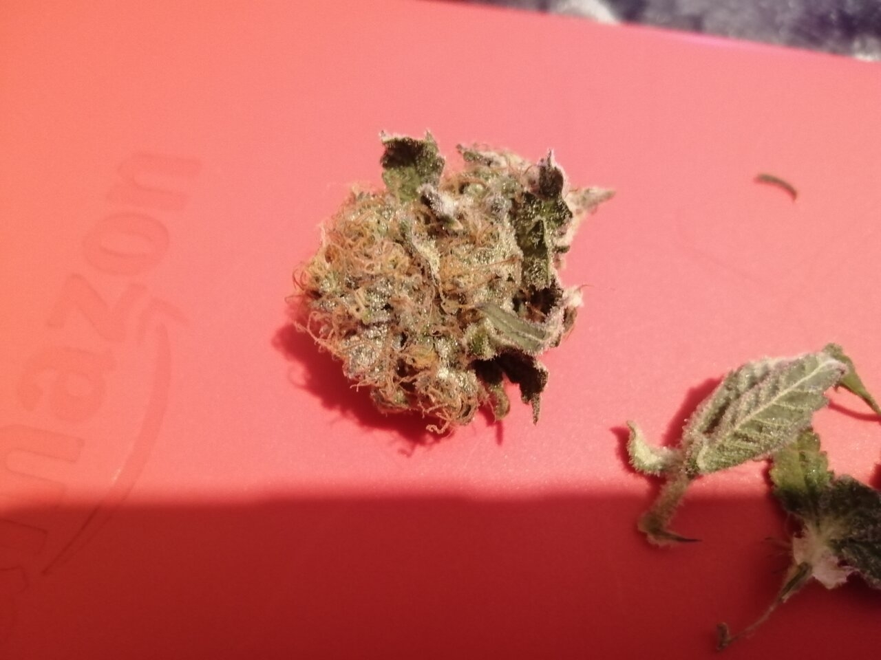 Cheese Bud