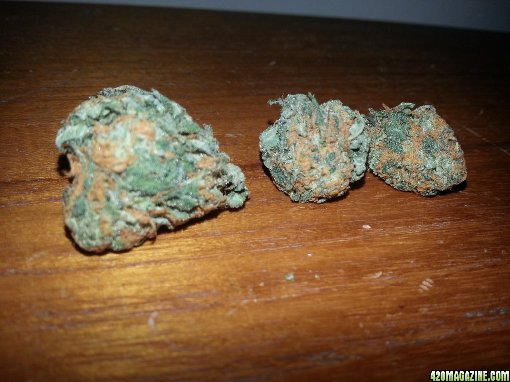 Chemdawg Nov 2014