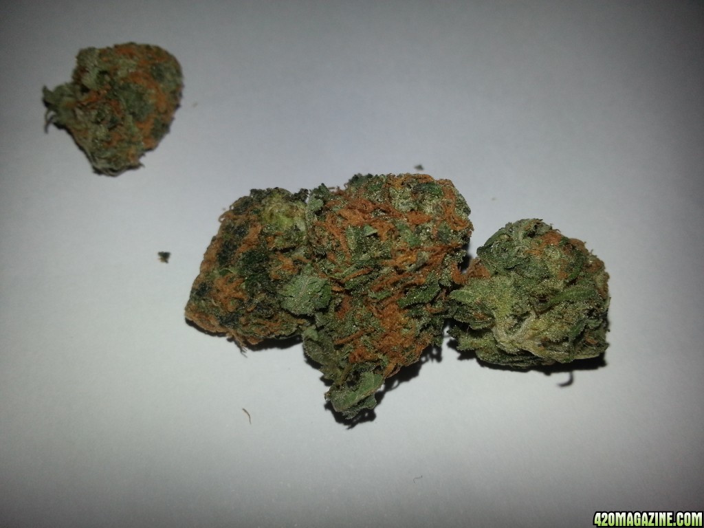 Chemdawg Nov 2014